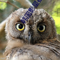 韩国影星崔真实 （照临）