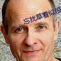 忘扰草看似很文艺但实
