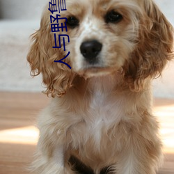 人与(yǔ)野鲁 毛片