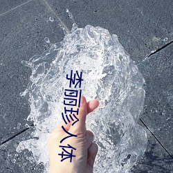 李丽珍人体