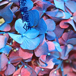 金年会(中国)官方网站