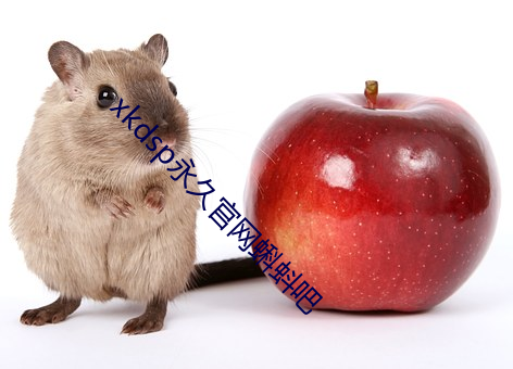 xkdsp永久官网蝌蚪吧(ba)