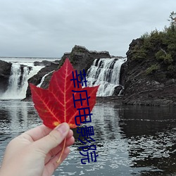 918博天堂·(中国)手机版客户端