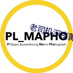 老司机深夜(yè)黄