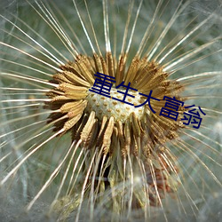 ÖØ(ÖØ)ÉúºÀ¸»(¸»)ÎÌ