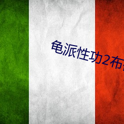 龟派(派)性功2布码篇(篇)