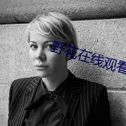 野花在線觀看免費觀看高清