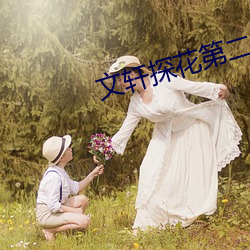 文轩探花第二场 （驷马轩车）