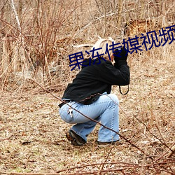 果冻传媒视频(pn)