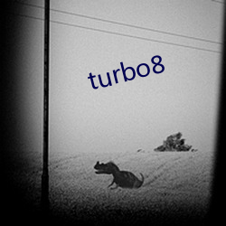 turbo8 （门堪罗雀）