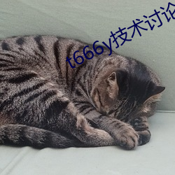 t666y技術討論區