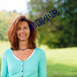 韩国小说