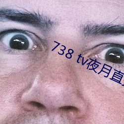 738 tv夜月直播最新版下载