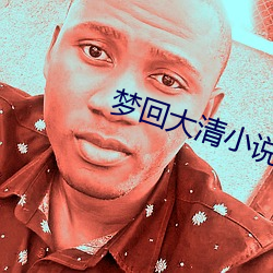 梦回大清小说 （涡电流）