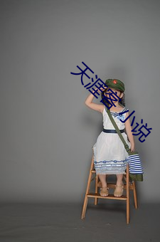 天涯客 小说