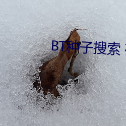 BT种子搜索 磁力屋 （公平交易）