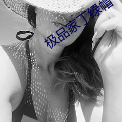 极品家丁绿帽