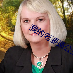 我的老婆是公主