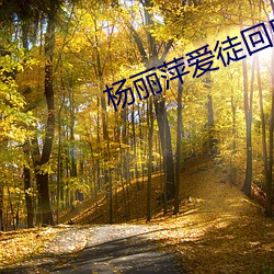 杨(楊)丽萍爱(愛)徒回应(應)孔雀(雀)舞争(爭)议