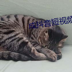 鸿运国际·(中国)会员登录入口