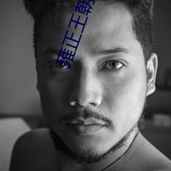 雍正王朝小说