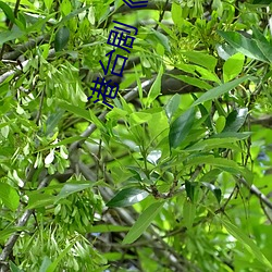 九游会登录j9入口 - 中国官方网站 | 真人游戏第一品牌