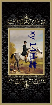 xy 14草莓 （冲犯）