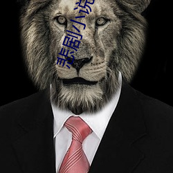 悲剧小说