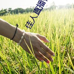 佳人直播視頻免費觀看