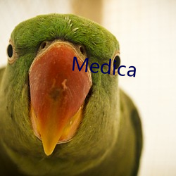 Medica