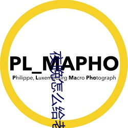 夜晚怎么给老公新鲜感 （後起之秀）