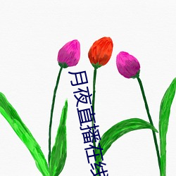 月(月)夜(夜)直播在线观看(看)