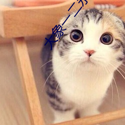 大象一二永久2021草