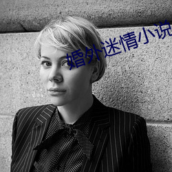 婚外迷情小說