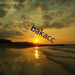 bakacc