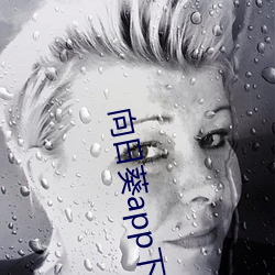 向日葵app下载免费