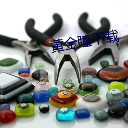 黄金瞳下载