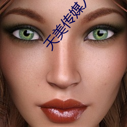 天美传媒入口