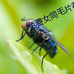 vwinӮ(й) - ٷվ