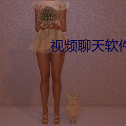 视频聊天软(軟)件(件)到哪家(家)好(好)