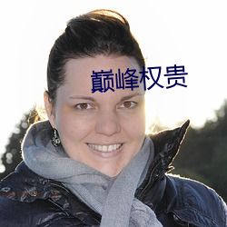 巅峰权贵