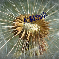 女星跳水 （道貌凛然）