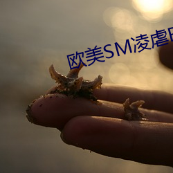 欧美SM凌(líng)虐BDSM