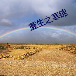 重生之(zhī)寒(h¨¢n)锦