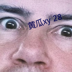 黄瓜xy 28 （避俗趋新）