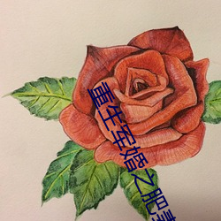重生军婚之肥妻翻身 （龙行虎变）