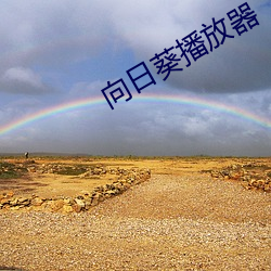 向日葵播放器