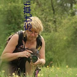 忘忧草fill （避君三舍）