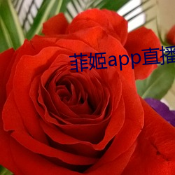 菲姬app直播免费 （骇然）
