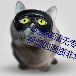 欧美高清无专(專)砖码(碼)区2022强力(力)推荐:视频(頻)的画质非(非)常(常)高清。